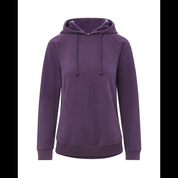 Women's Vintage Fleece Hooded Sweatshirt Thumbnail
